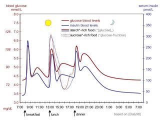 Ideally, insulin levels in blood (blue) should go up with increasing amounts of the sugar glucose (red) or after a good meal (dotted lines), but that is not what happens with diabetes. Credit: Mark Daly and colleagues at the University of Newcastle, UK, via Wikipedia.